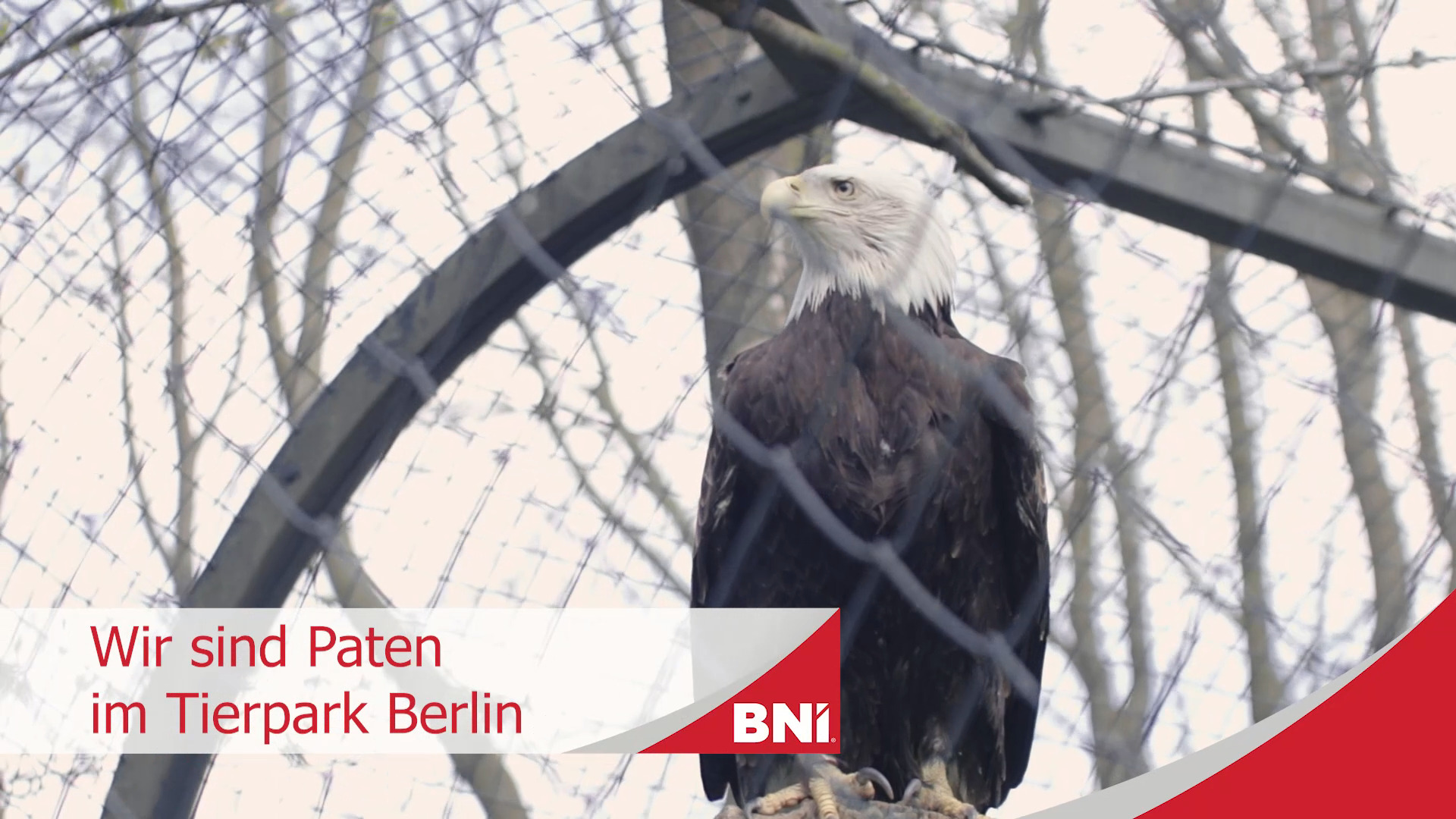 BNI Chapter ADLER – Paten im Tierpark Berlin
